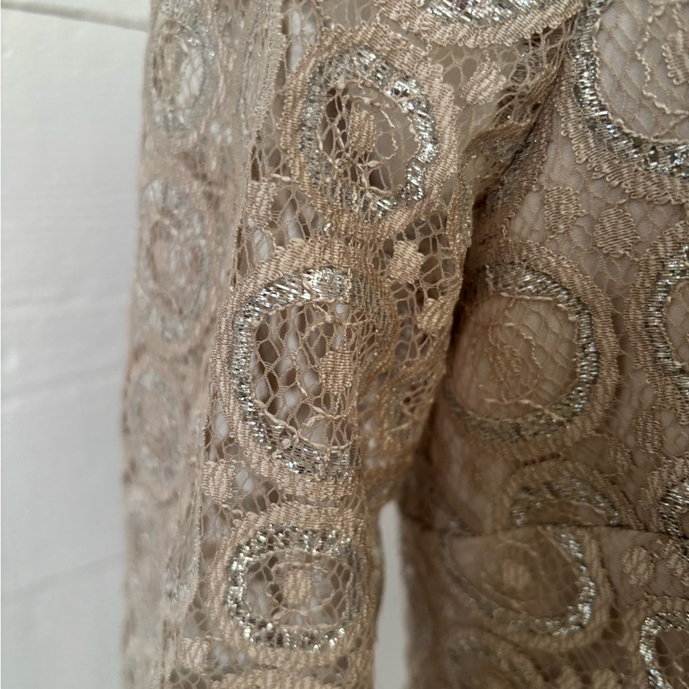 Cynthia Steffe NWT Silver Champagne Lace Cocktail Dress S:2 Formal Wedding Guest - Picture 5 of 7
